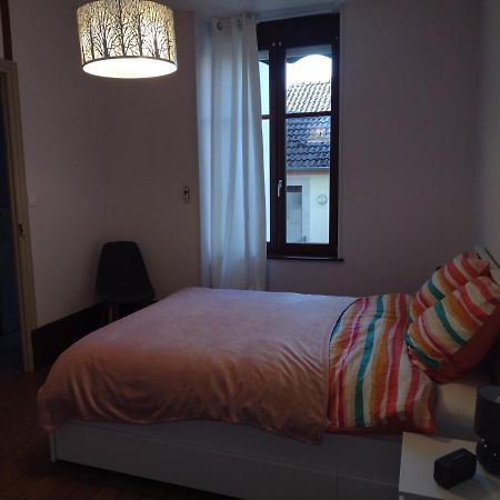 Appartement 1Er Etage Proche Des Termes Bourbonne-les-Bains Exteriör bild